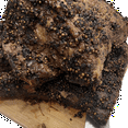 thumbnail image 3 of Smoke That Meat / Fume Ta Viande, 3 of 4