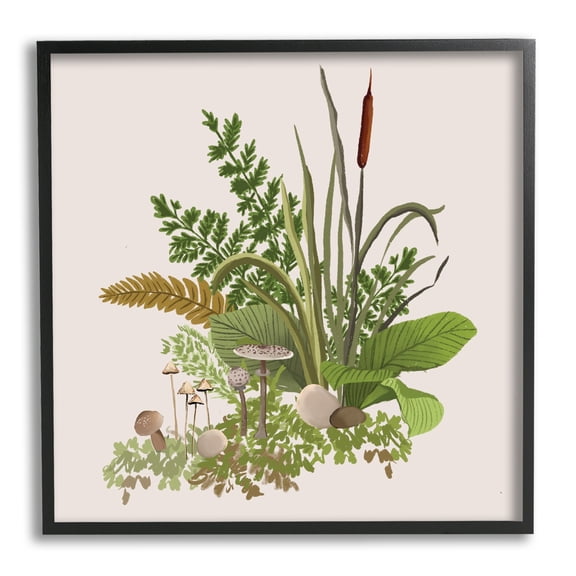 Stupell Industries Cottage Botanicals Plants Mushrooms Ferns Forest Floor Graphic Art Black Framed Art Print Wall Art, Design by House of Rose