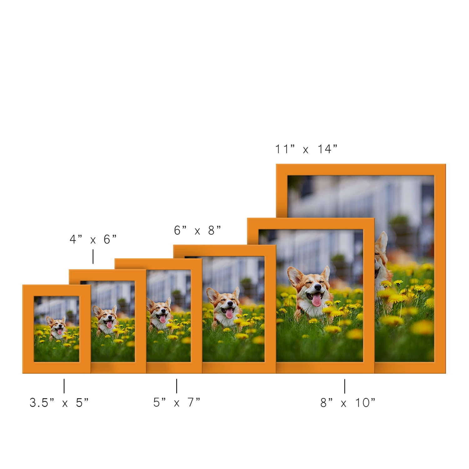 Modern 5 in. x 7 in. Orange Picture Frame (Set of 2)