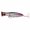 Gray, variant on QLUEWX Topwater Popper Fishing Lure, 4.92in 40G Hard Artificial Bait with 3D Eyes Treble Hooks, 6 Colors Surface Popper Lure for Saltwater Big Game Fishing
