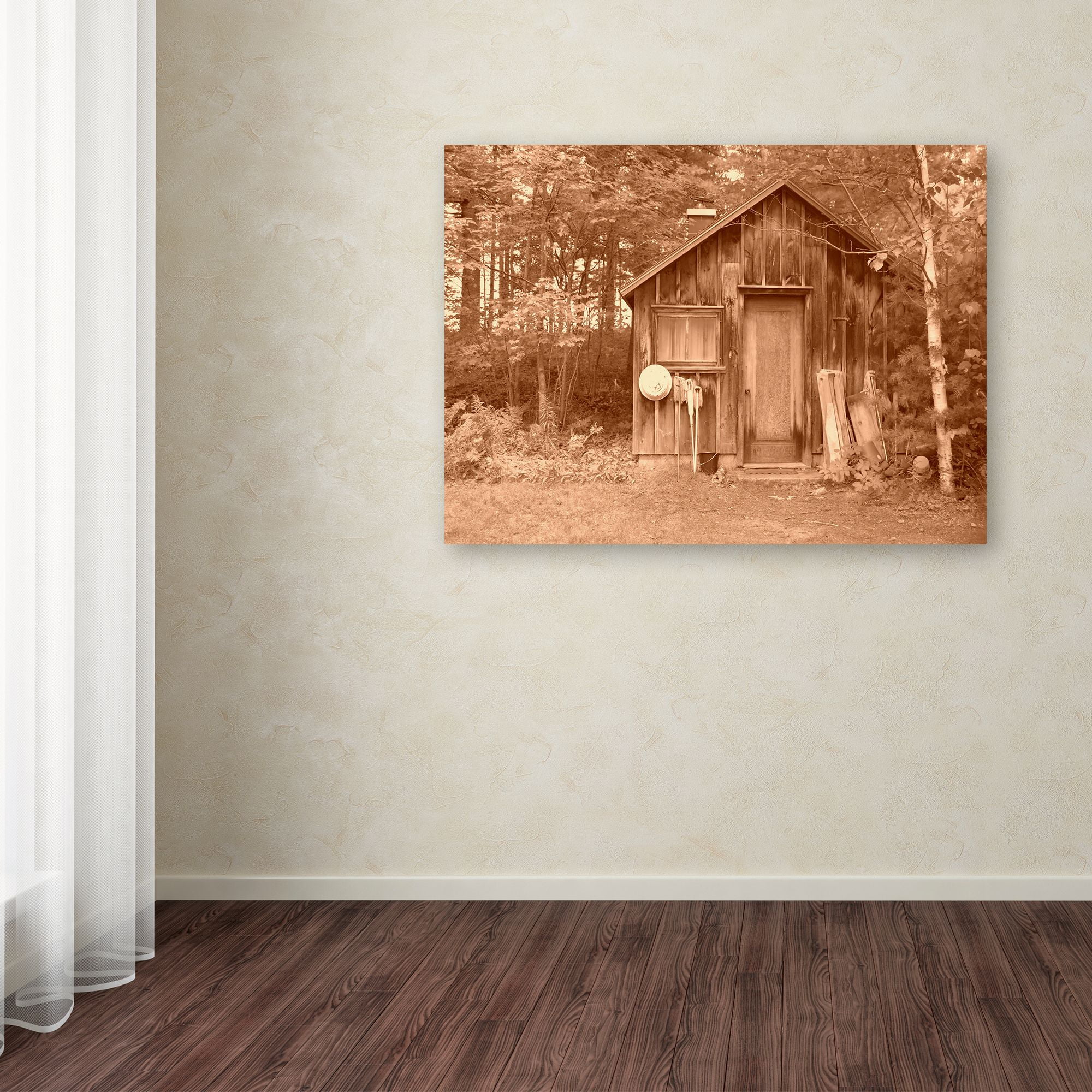Trademark Fine Art 'Shed sepia' Canvas Art by Tom Kelly