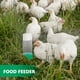 thumbnail image 2 of Alimentador de aves de corral, cubo de alimentación para pollos, comedero para patos, contenedor de comida para pollitos, bebedero para pollitos, 2 of 5