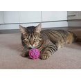 thumbnail image 2 of JW Pet Company Hochet Balle, Jouet pour Chat, 2 of 5