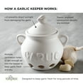 thumbnail image 6 of Fox Run Brands Ceramic Garlic Container Storage Jar, White, 5.75" x 5.25" x 5.5" Garlic Kepper, 6 of 6