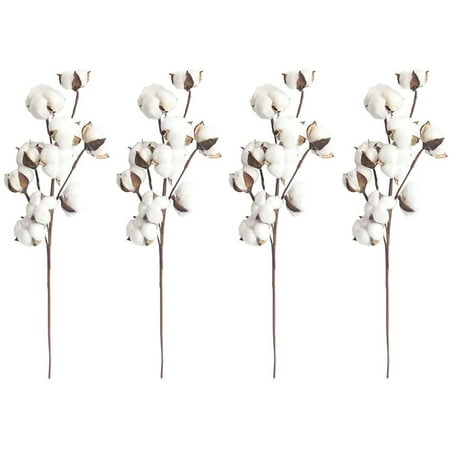 4 tiges de coton blanc naturel, 10 capsules de coton par tige, 53,3 cm,  pics à fleurs, style campagnard, décoration. | Walmart Canada