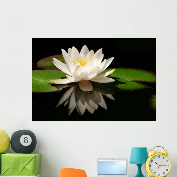 White Lotus Flower Wall Mural by Wallmonkeys Peel and Stick Graphic (48 in W x 32 in H) WM121399