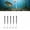 Style A, variant on Pre Tied Off Bottom Fishing Rig Anti Snag Floating Hook Leaders,Suspension Hair Rigs Ready to Use Barbed Carp Tackle Accessories for Saltwater Casting Boats and Water Expeditions Adventures