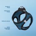 thumbnail image 3 of Malla Harness Best Pet Supplies para todo tipo de clima para perros pequeños XXS, 3 of 7
