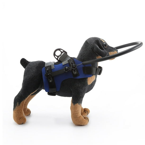 Blind dog sales halo harness