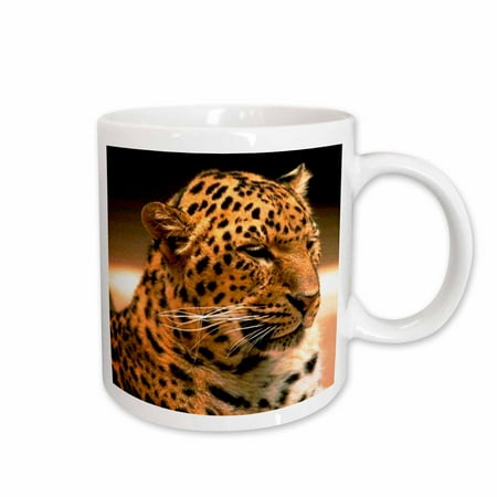 

3dRose Leopard Ceramic Mug 11-ounce