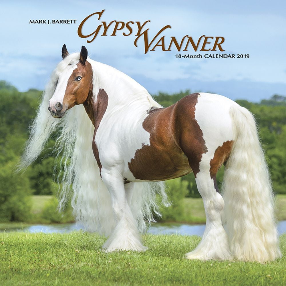 2019 Gypsy Vanner Horses Wall Calendar, by Willow Creek Press Walmart