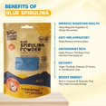 thumbnail image 4 of Blue Spirulina Powder Yogi Super Foods 150mL - Protein Source, 4 of 7