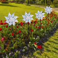 thumbnail image 5 of Reflective Pinwheel 8-pack, Decorative Windmill, 18.5 Inch Shiny Mylar Spinner Ornament with Rod Stick for Balcony Garden Vineyard and Outdoor Yard Arrangement, 5 of 8