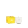 thumbnail image 1 of Mini Bougie Mangue Papaye, 1 of 1