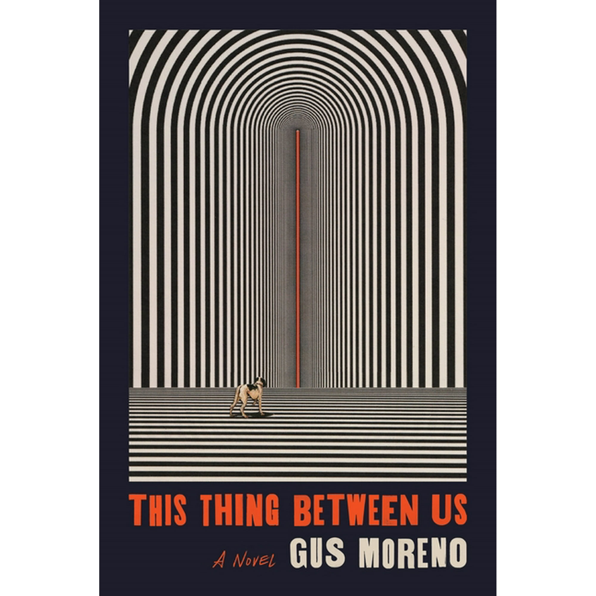 This Thing Between Us : A Novel (Paperback)
