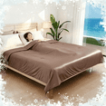 thumbnail image 2 of SUNNY HEAT Cooling Summer Comforter Twin Size 60"x80", Double-Sided Breathable Silk Summer Blanket for Hot Sleepers,Cocoa Brown, 2 of 7