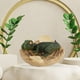 thumbnail image 3 of Figuras de dinosaurios 3.35 pulgadas Decoración Regalo educativo Colección pequeña Simulación Animal Cub Huevos Modelo para fiesta Favor Colector CUTICAT Figuras de dinosaurios, 3 of 5