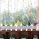 thumbnail image 2 of Plantas de peluche simuladas Plantas en macetas de cerámica Bonsái de peluche simulado Flores simuladas Decoración de interiores Plantas verdes, 2 of 5