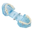 thumbnail image 2 of Modelo patológico Dental enseñanza clara modelo de exhibición de dientes dentales desmontable azul transparente, 2 of 8