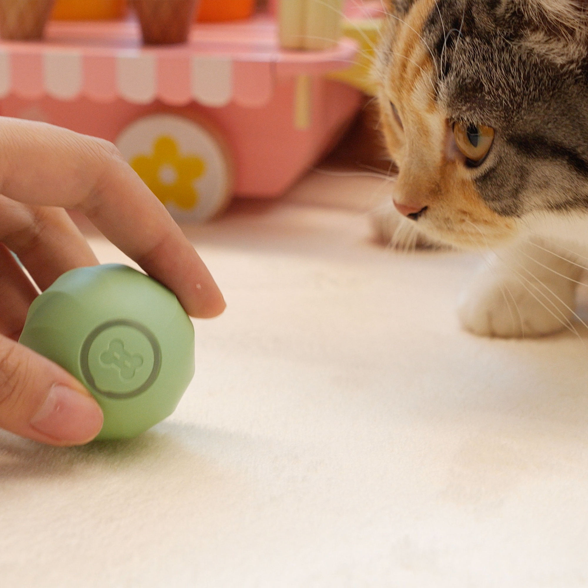 Ice Cream Ball: Cheerble M2 Interactive Silicone-Covered Cat Ball