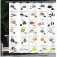 thumbnail image 4 of Ambesonne Fish Shower Curtain, Underwater Aquatic Species, 69"Wx70"L, Yellow Blue Black, 4 of 5