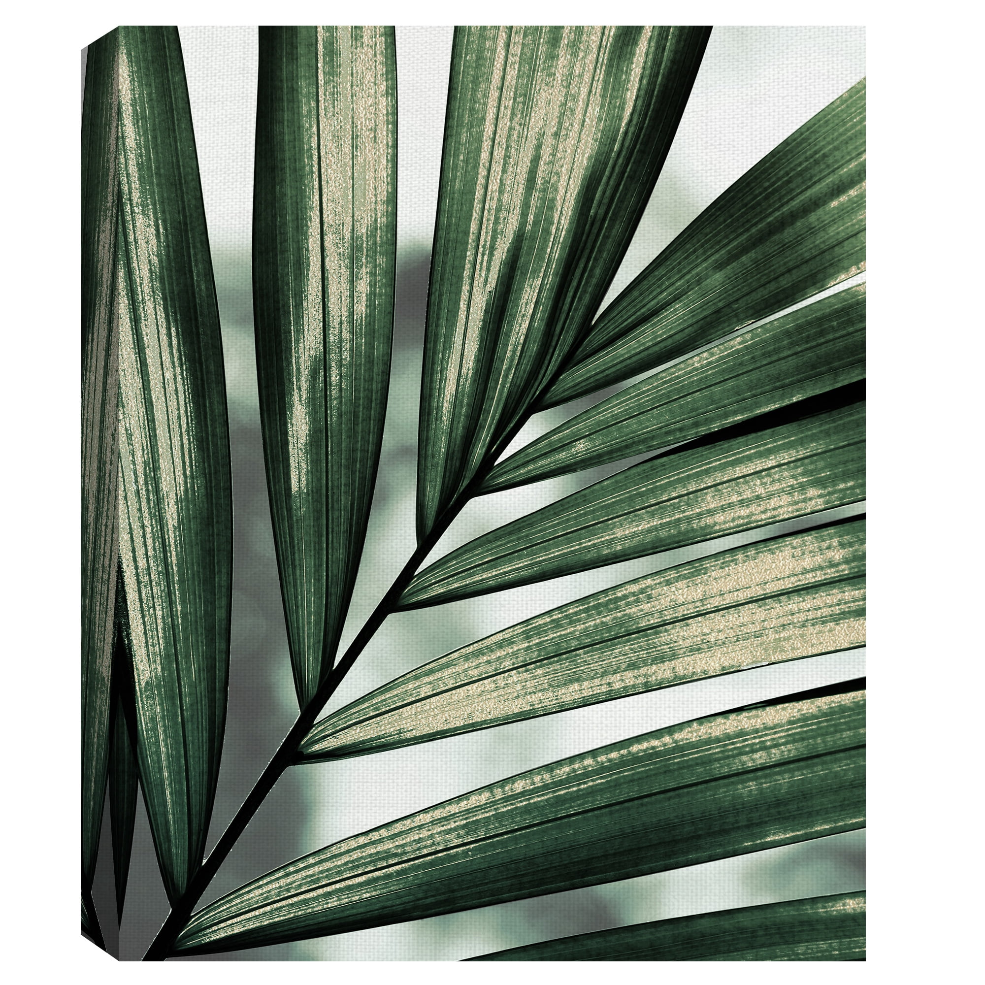 Masterpiece Art Gallery Palm Frond By Belle Maison Canvas Art Print 22" x 28"