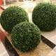 thumbnail image 4 of Planta Artificial Bearachild Bola Verde 40cm, 4 of 6