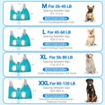 thumbnail image 3 of Hamaca para Aseo de Perros Supet para Perros Grandes Azul XXL, 3 of 6