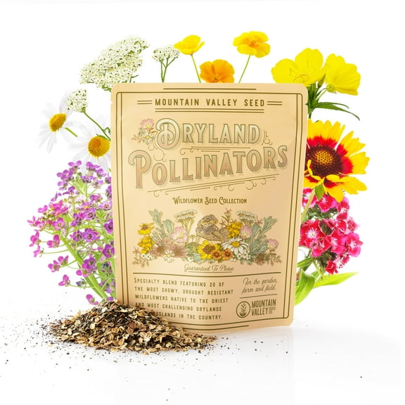 Collection of 80,000 Wildflower Seeds - Dryland Pollinators Wildflower Seed Mix - 20 Assorted Non-GMO Heirloom Wild Flower Seeds for Planting Including African Daisy, Evening Primrose, Sweet William