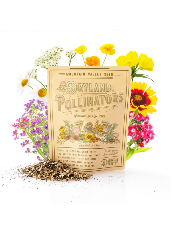 Wildflower Mix Flower Seeds in Seed Gardening