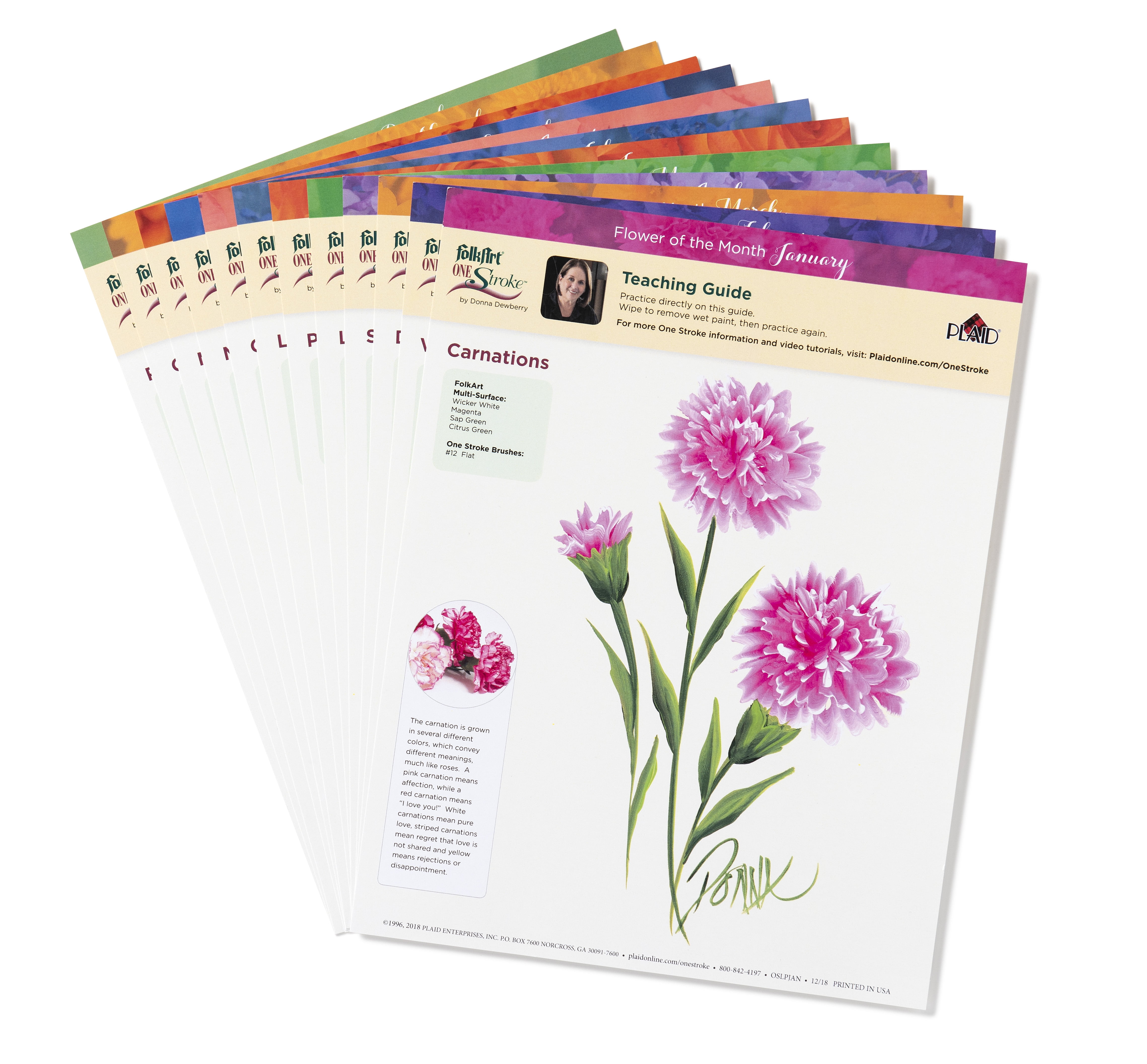 FolkArt One Stroke Learn to Paint Flower of the Month Kit, 35 Piece