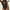 Black, variant on TrendVibe365 Swimming Suits for Women One Piece Strap V Neck Bikinis Backless Monokinis Solid Ruched Pleated Swimming Suits Modest High Cut Tankinis for Holiday, Travel and Seaside