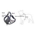 thumbnail image 5 of Yidarton New Mesh Pet Chest Strap Vest Dog Strap Reflective Dog Rope Medium And Large Dog Leash, 5 of 10