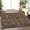 Chocolate, variant on Addison Rugs Chantille Indoor/Outdoor Transitional Floral Chocolate Washable Rectangle Rug, 1'8" x 2'6"