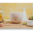 thumbnail image 4 of Silver Buffalo Disney Winnie the Pooh Featuring Piglet, Eeyore, Tigger, Rabbit, and Roo Group Hug Ceramic Ramen Noodle Rice Bowl with Chopsticks, Microwave Safe, 20 Ounces, 4 of 4