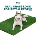 thumbnail image 2 of Bliss Artificial Grass Rug, Indoor/Outdoor Versatile Mat, Easy Clean Drainage - 3' x 5', 2 of 12