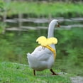 thumbnail image 5 of 4 piezas de arnés para caminar al aire libre con forma de pato para mascotas, arnés para gallinas, cuerda de tracción ajustable para entrenamiento al aire libre para gallinas, gansos y galli, 5 of 5