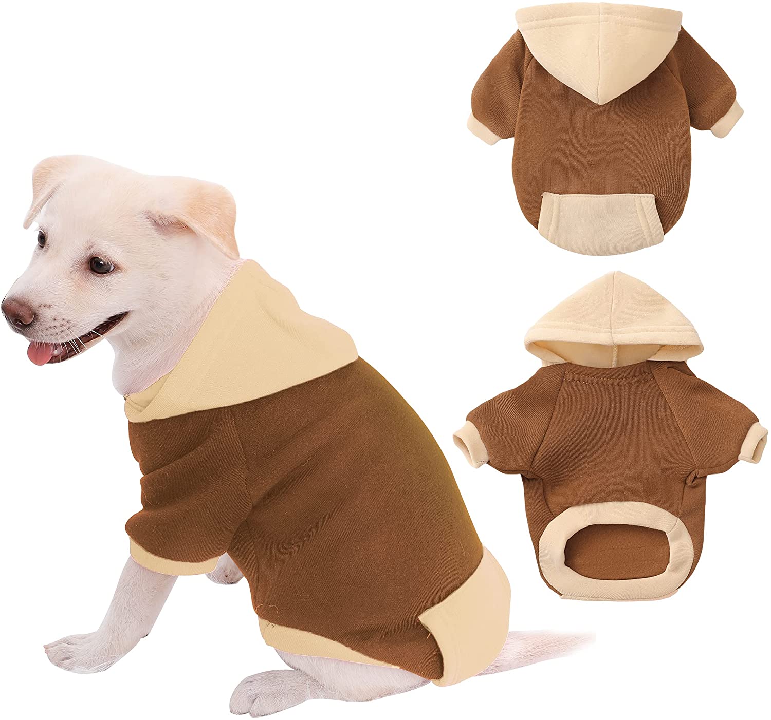 What Size Is My Dog In Clothes