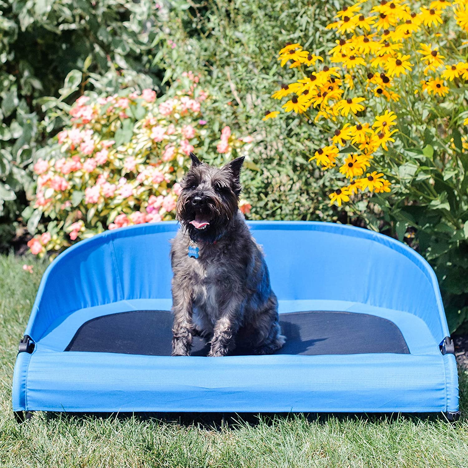 Gen7Pets Cool Air Cot Pet Bed for Dogs and Cats Medium Trailblazer Blue
