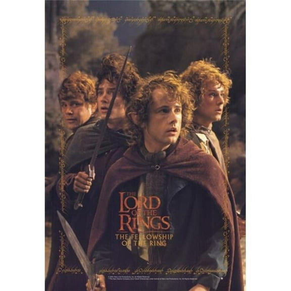 Lord of the Rings Fellowship of the Ring Movie Poster - 11 x 17 in.