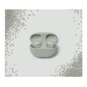 Sony WF-1000XM5 Bluetooth In-Ear Earbuds with Accessories Included, Silver