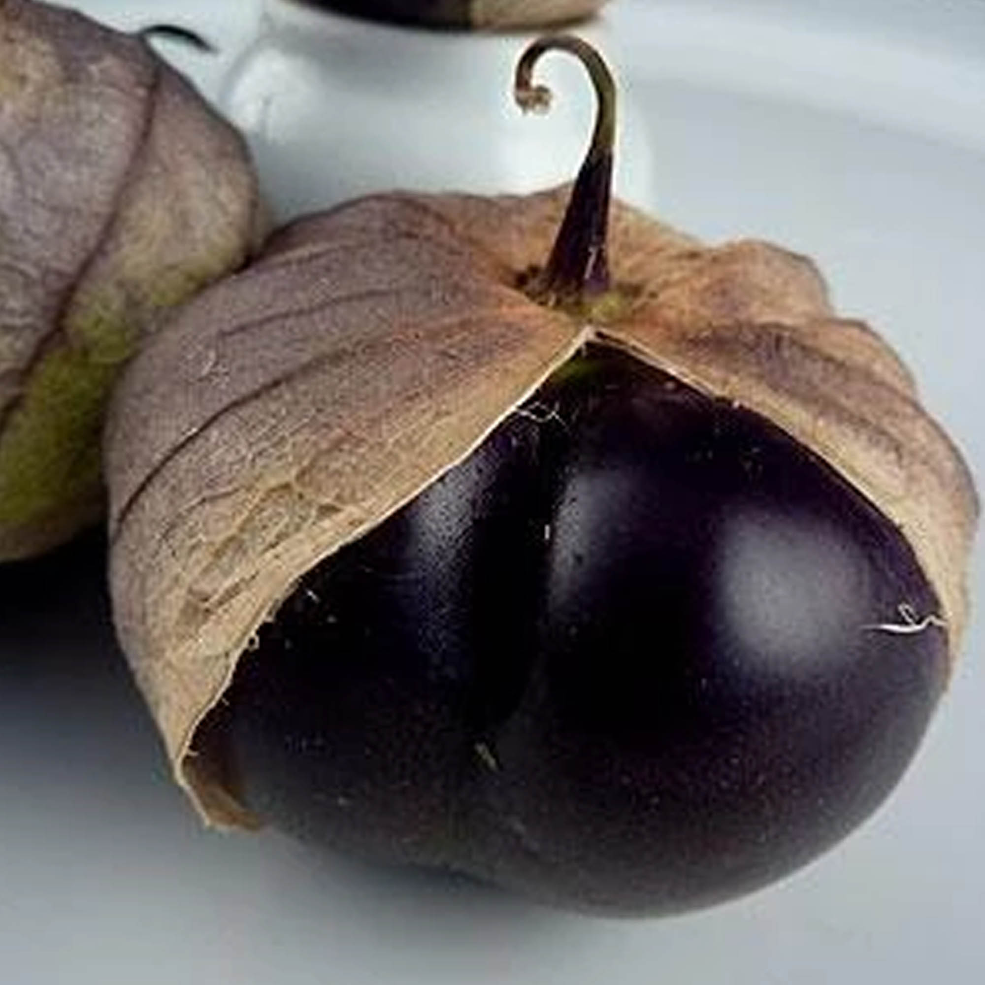 Organic Purple Tomatillo 500 Mg Packet 40 Seeds Organic, Heirloom
