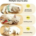 thumbnail image 5 of Celery Pets Cat Chew Rope, Meowvo Chew Rope, Catnip-Infused Organic Cotton Chew Rope Toys for Cats, Catnip Toys for Cats Ropes Chew Toy & for Teeth Cleaning (3Colors-A), 5 of 8