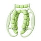 thumbnail image 5 of Rodillo de masaje manual de 23 ruedas con abrazadera circular para piernas, masajeador de fascia y músculos relajantes. Verde, 5 of 9