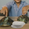 thumbnail image 2 of Shisuyan 3pcs Turtle Basking Stones Turtle Tank Stone Decoration Tortoises Stone Platform Reptile Habitat Stones Random Color, 2 of 9
