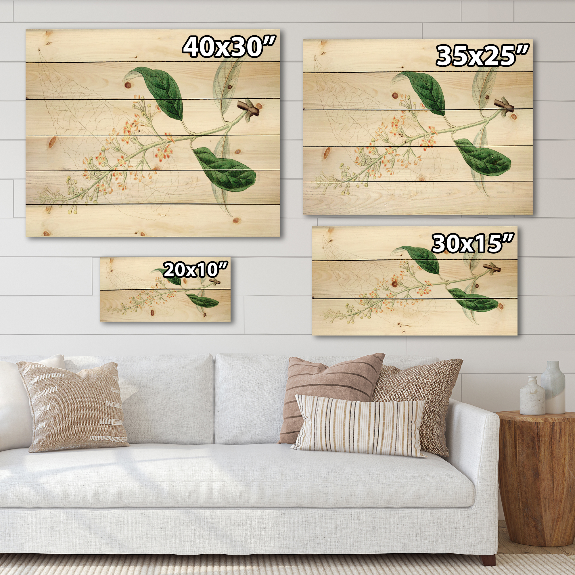Designart 'Ancient Plant Life XXVII' Traditional Print on Natural Pine Wood