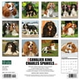 thumbnail image 2 of Just Cavalier King Charles Spaniels 2024 12 X 12 Wall Calendar (Other), 2 of 4