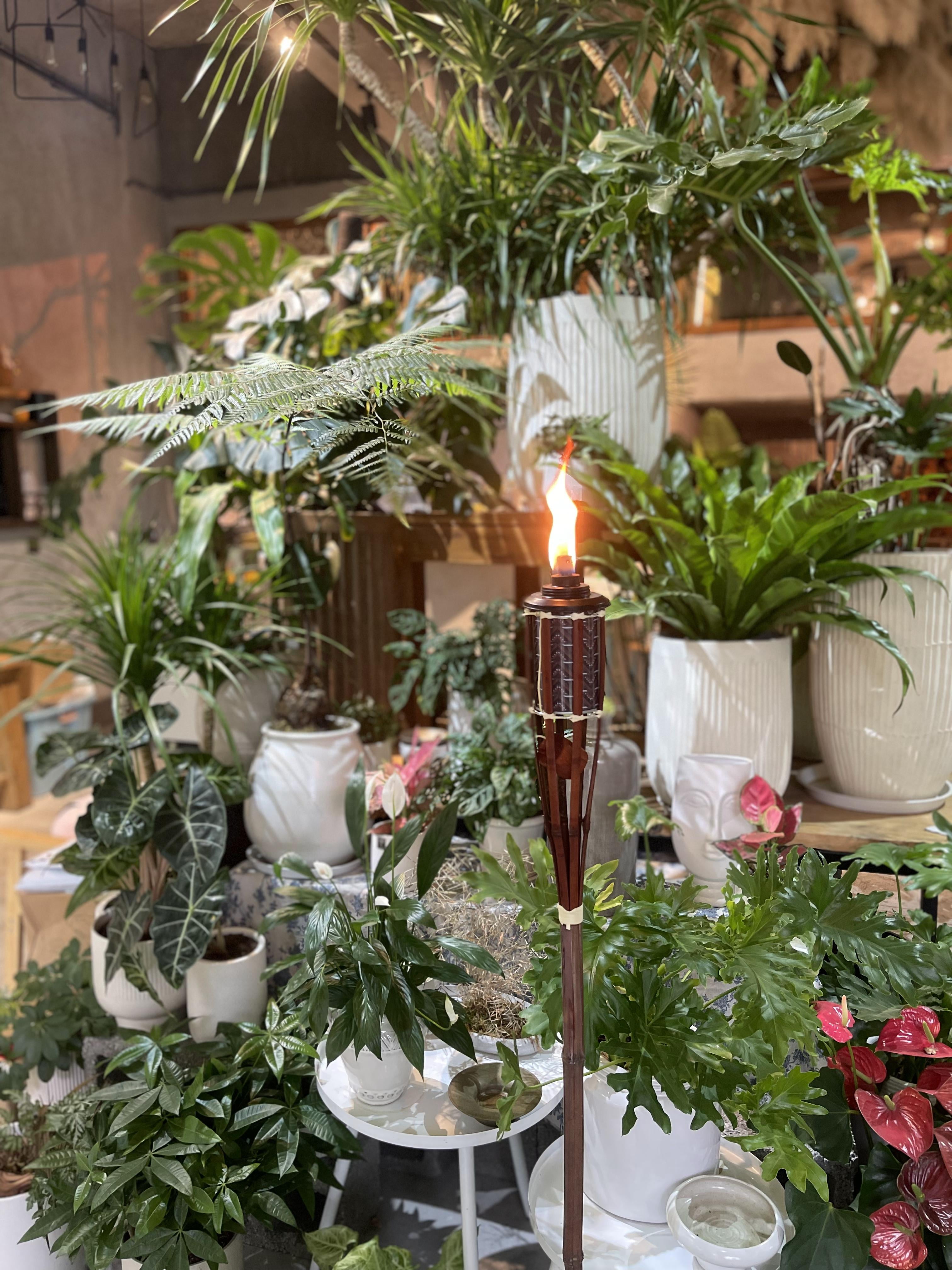 Mainstay - Brandclub - Mainstays 57in Stained Bamboo Yard Torch