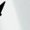 White-1, variant on Women Bird Flying Graphic Flattering Fit Versatile Tees T-shirt Tops Comfortable Short Sleeve Round Neck White S-5XL