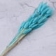 thumbnail image 5 of Decoración de hierba de pampa seca natural, ramo de flores de plantas secas, decoración del hogar boho, azul, 5 of 8